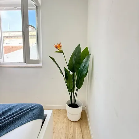 1 Bedroom - Patio - - Ac