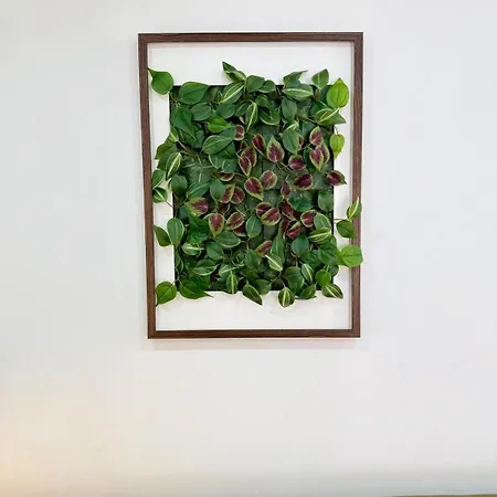 Apartment Secret Paradise