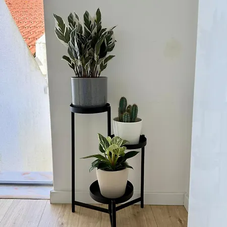 Appartement Secret Paradise