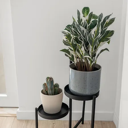 1 Bedroom - Patio - - Ac * Lisboa